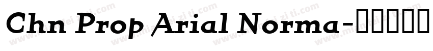 Chn Prop Arial Norma字体转换